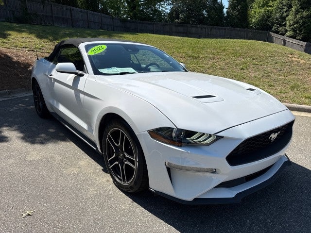 2022 Ford Mustang EcoBoost Premium Convertible's photo